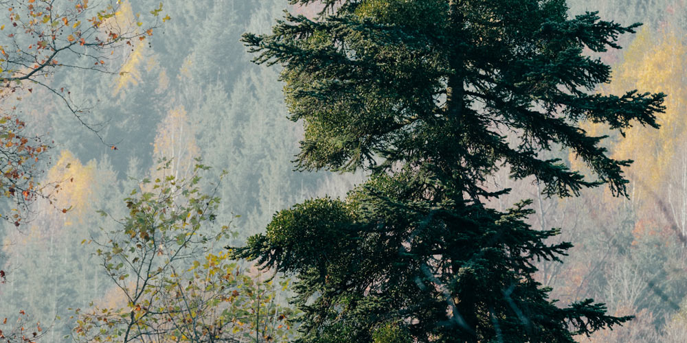 Klimaneutraler Salon